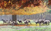 برای سفر به استان گلستان آماده شوید