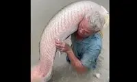 روش استادانه ماهیگیر چینی برای شکار ماهی غول پیکر 