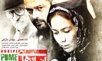 رونمایی از پوستر دیدنی «انارهای نارس»