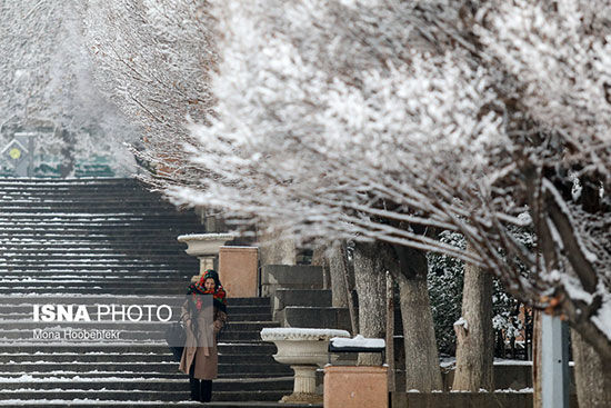 بارش برف در شمال تهران