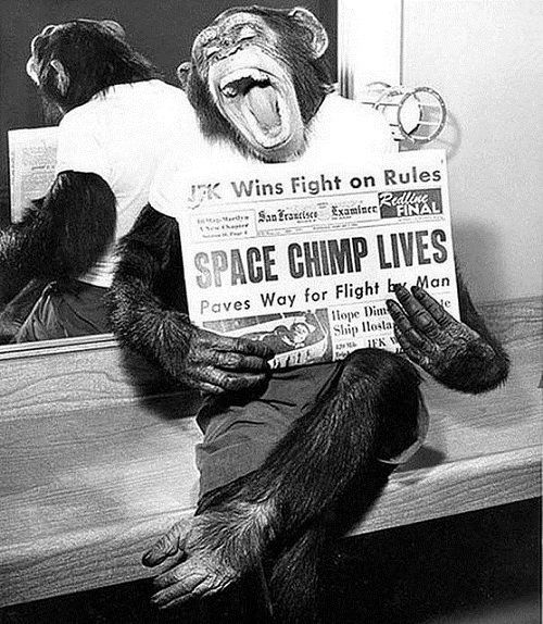 داستان مشهورترین میمونی که به فضا رفت