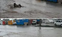 سیل به سرپل ذهاب رسید