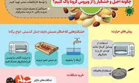 اینفوگرافی: چگونه آجیل و خشکبار را از ‎کرونا پاک کنیم؟