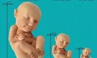 نوزاد خود را پیش از تولد در آغوش بگیرید!