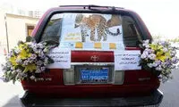 ماشین عروس یوزپلنگی! +عکس