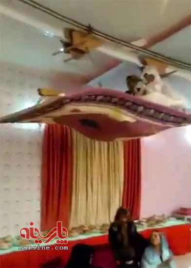 عروسی با قالیچه پرنده در ایران! +عکس