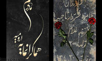 عکس: یک جهان عشق نهان است اینجا...