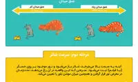 اینفوگرافیک: دوربین چگونه عمل می‌کند؟