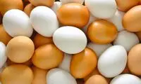 نامه‌ای به تخم‌مرغ؛ خداحافظ برای همیشه