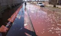 سیل آبمیوه در خیابان های روسیه