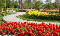 جشنواره گل لاله و درختچه‌های زینتی