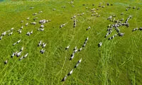 آمریکا از نمای بالا‎