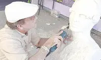 یالثارات رونمایی از سردیس کیارستمی را متوقف کرد