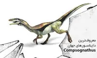 معروف‌ترین دایناسورهای جهان: كامپسوگناتوس