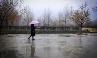باران عامل انتقال میکروب ها!