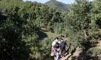 گردشگران مفقودشده در ایلام پیدا شدند
