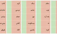 چگونه بفهمیم رشد كلامی  كودكمان روند طبیعی دارد؟