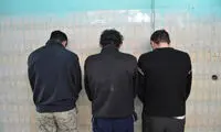 سارقان ۵۰۰ میلیاردی پایتخت دستگیر شدند
