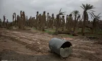 سرزمین فراموش شده