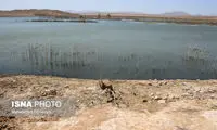 کاهش ۵۳ درصدی ذخیره آب سد «فرخی»