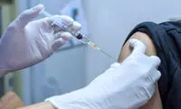 ستاد اجرایی: واکسن برکت بهتر از آسترازنکا است