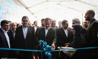 افتتاح اولین کارخانه تولید سلول انسانی