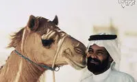 این حیوانات خندان و بامزه روزتان را می‌سازند