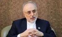 صالحی: به نظر می‌رسد مذاکرات وین به نتیجه برسد
