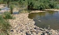 هویزه و هورالعظیم؛ بی‌آبی و بیداد خطر بی‌آیندگی