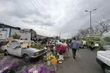 حال و هوای بازار گل تهران در آستانه سال تحویل