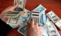 چرا بانک مرکزی به قیمت دلار بی‌تفاوت است؟