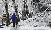 غافلگیری شهرداری در شهر خودروها