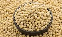 پیشگیری از ریزش مو در گیاهخواران