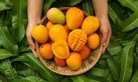 خواص بی‌نظیر چای انبه را بشناسید