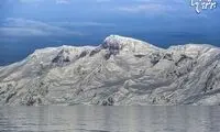 تاثیر تغییرات آب و هوا روی پنگوئن های قطب جنوب