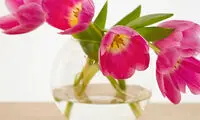 با این تغییرات دکوراسیونی، آرامش را به خانه بیاورید
