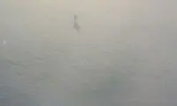 واکنش‎ها به تصویر شئ عجیب در آسمان