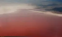 عکس؛ دل دریاچه مهارلو پر خون شد!