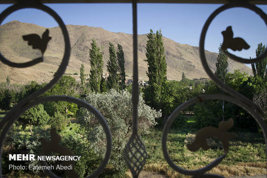 باغ‌هایی که ساختمان شدند