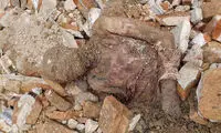 همه‌ی احتمالات درباره مومیایی منتسب به رضاخان