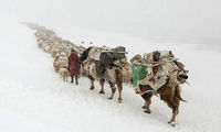 کوچ بهاری در سرمای زیر 40 درجه‎