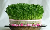 ارزش غذایی سبزه‌ی هفت‌سین
