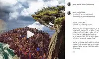 سورپرایز پسر مهران مدیری در راه است