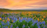 رنگی ترین و زیباترین مکان های دنیا