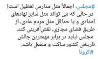 ضرغامی: مجلس هم مثل مدارس تعطیل است!