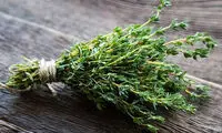 خواص آویشن