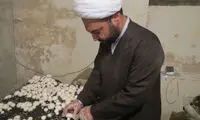 پرورش قارچ توسط یک امام‌ جمعه +عکس