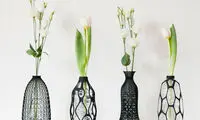 گلدان هایی سه بعدی خلاقانه