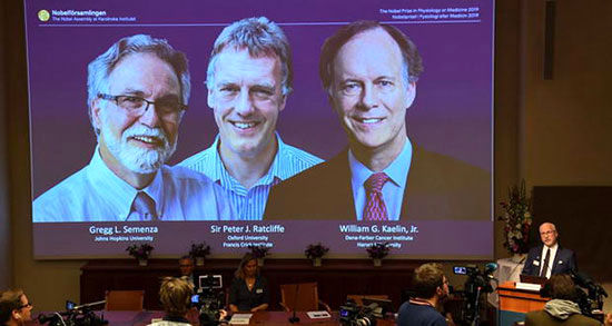 برندگان جایزه‌ی نوبل پزشکی ۲۰۱۹ را بشناسید