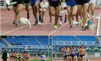 کبوتر‌های دردسرساز در مسابقات دوومیدانی مشهد